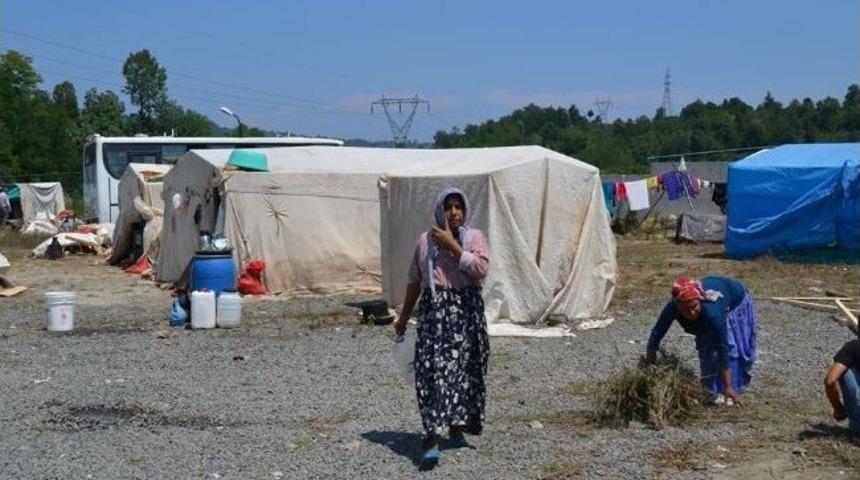 Fındık İş&ccedil;ileri "iş" Bekliyor