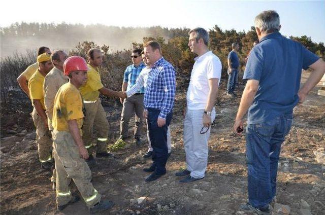 Ak Parti Milletvekilleri Gelibolu'daki Yangın Alanında İncelemelerde Bulundu