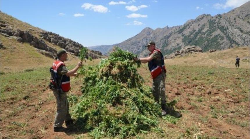 Batman'da Uyuşturucu Operasyonu