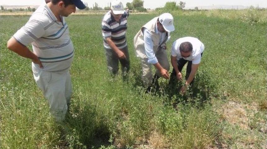 &Ccedil;ekirgelere Karşı Acil Eylem Planı