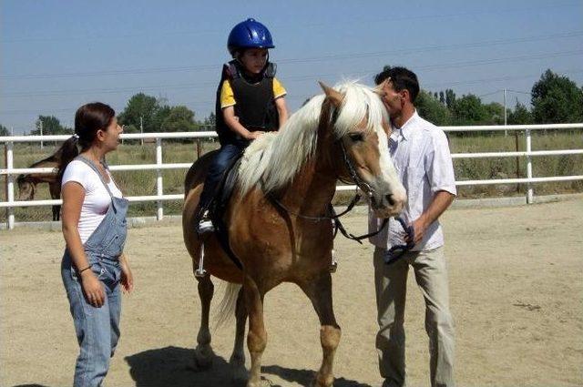 Lösemili Çocuklar Atla Tanıştı