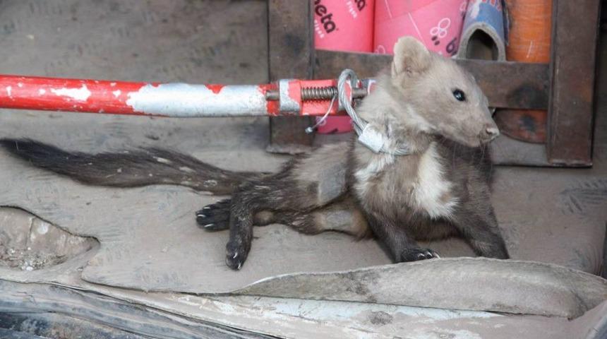 Aksaray&rsquo;da Sansar Operasyonu