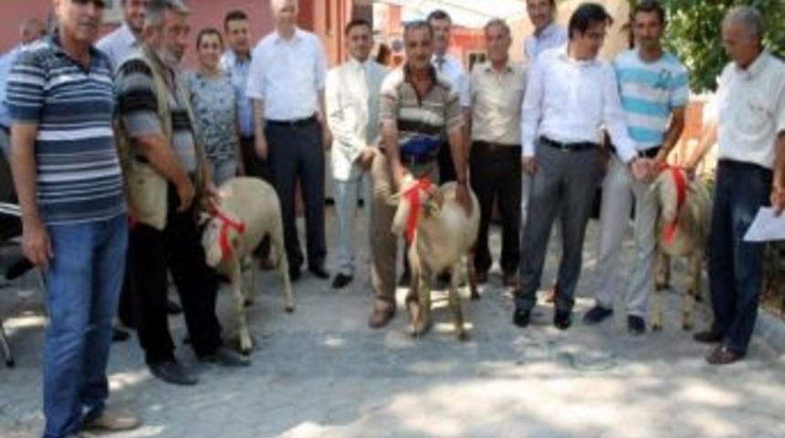 Balıkesir İl &Ouml;zel İdaresi Ko&ccedil; Dağıttı