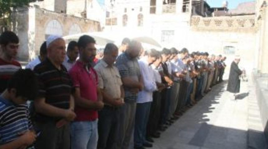 Mısır&rsquo;da &Ouml;lenler İ&ccedil;in Gıyabi Cenaze Namazı Kılındı