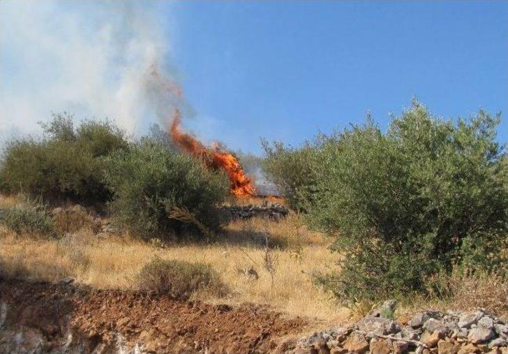 Edremit’te Korkutan Yangın G3