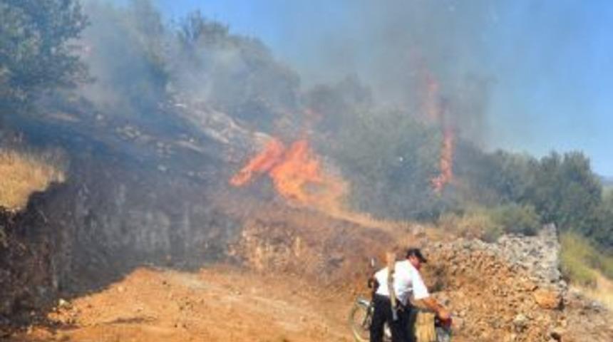 Makilik Alanda &Ccedil;ıkan Yangın G&uuml;&ccedil;l&uuml;kle Kontrol Altına Alındı