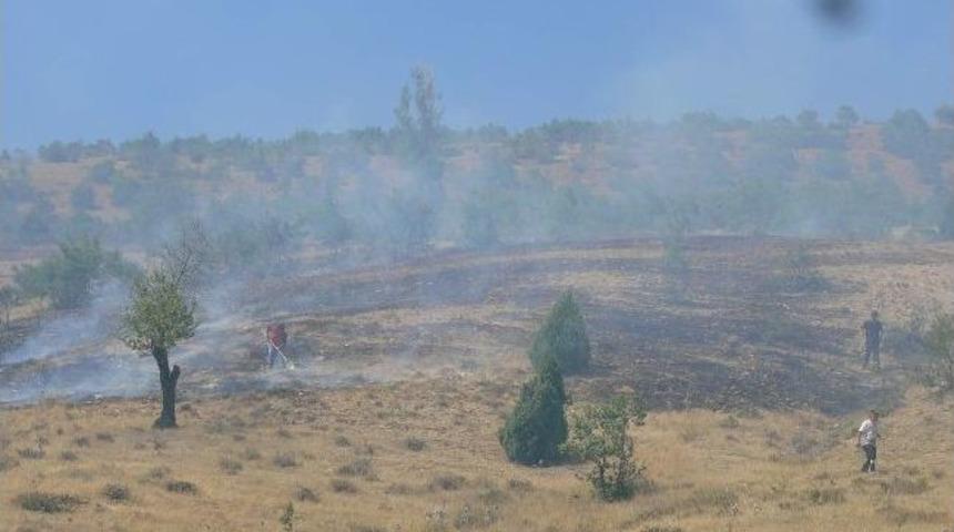 Boz&uuml;y&uuml;k'te Arazi Yangını
