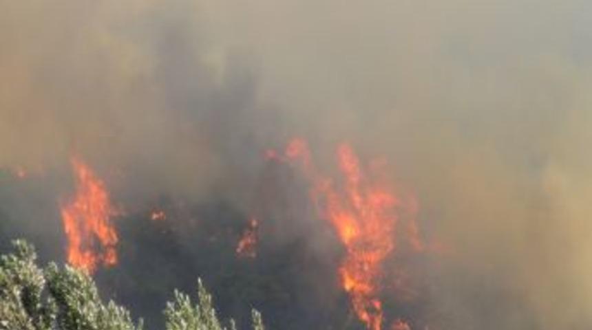 Hatay'daki Orman Yangını Kontrol Altına Alınamadı