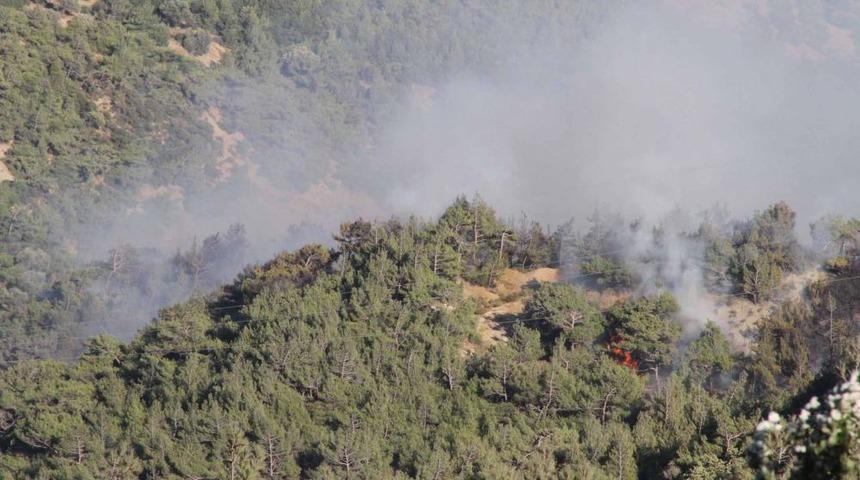 Belen&rsquo;de Yine Orman Yangını &Ccedil;ıktı