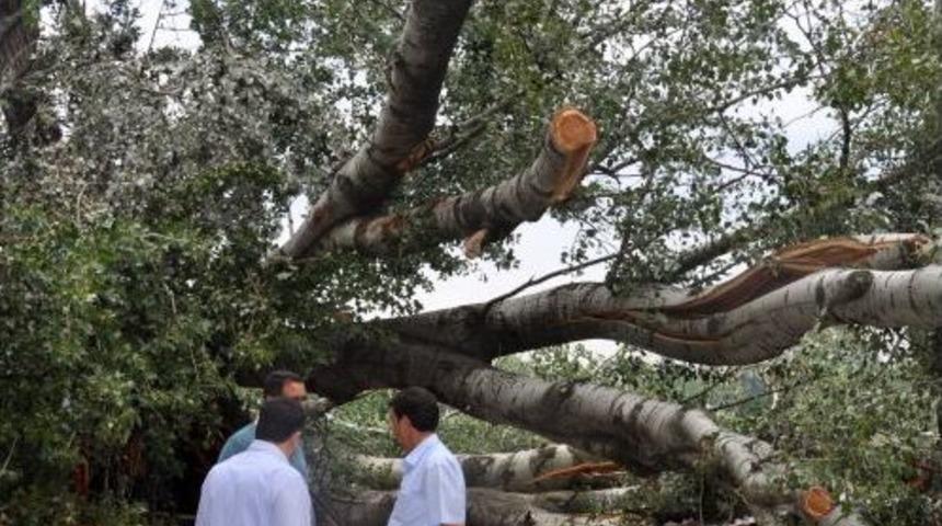 Fırtınanın Şiddeti G&uuml;n Aydınlanınca Ortaya &Ccedil;ıktı