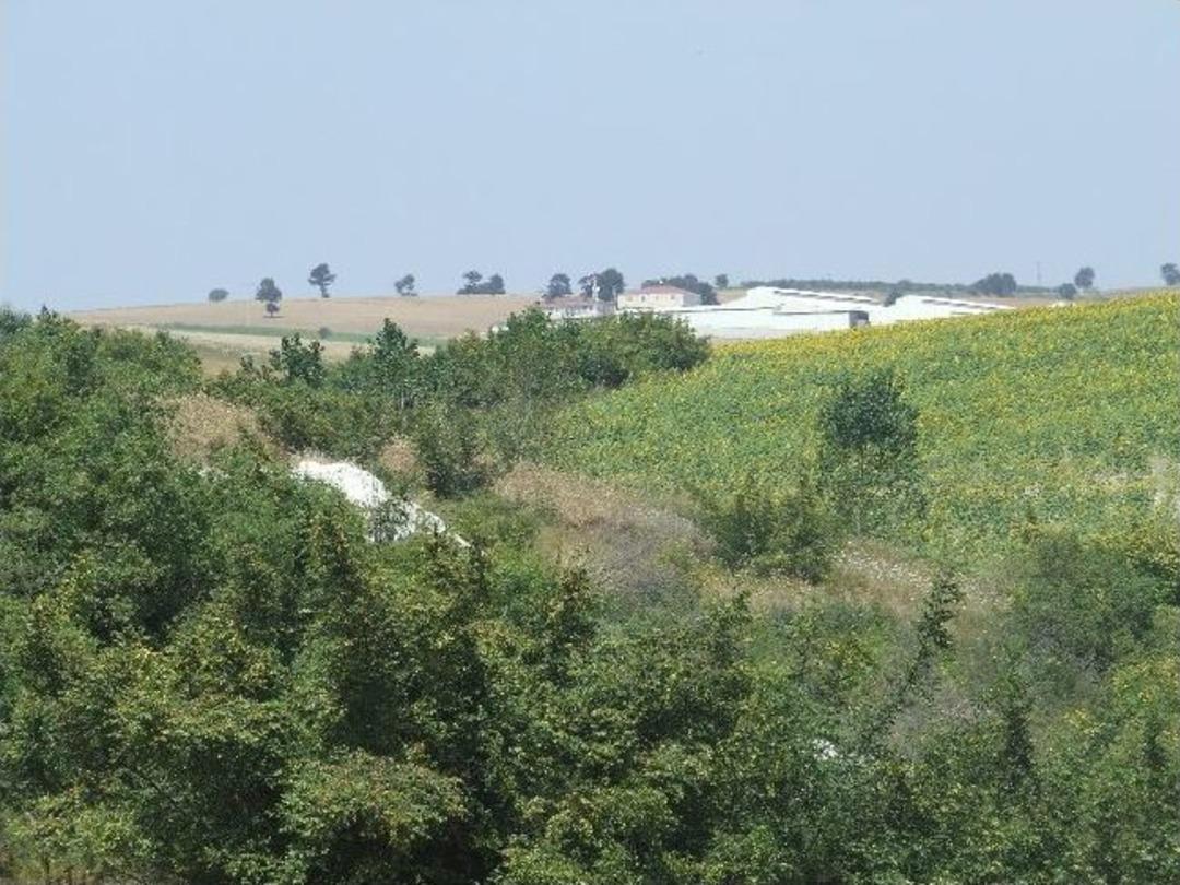 Ka&ccedil;ak Sondaj İddiaları K&ouml;yl&uuml;lerin Tepkisini &Ccedil;ekiyor