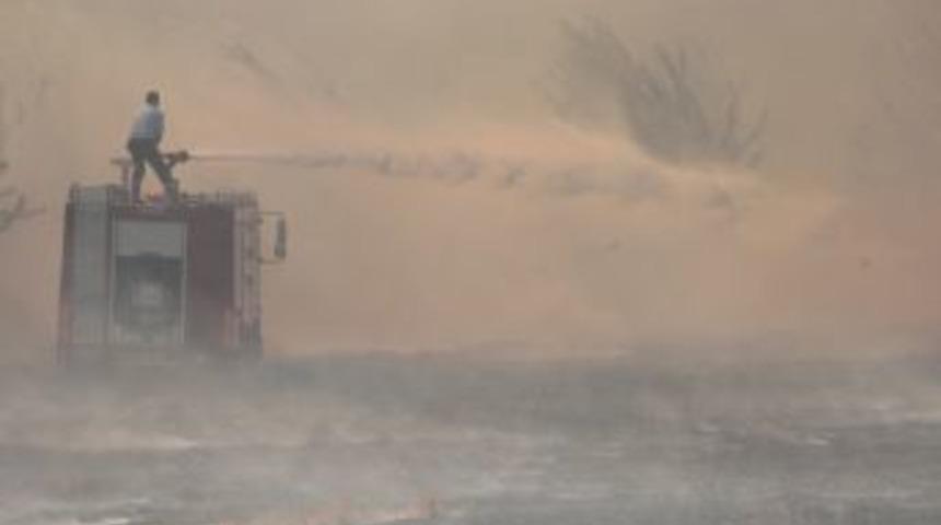 Jenerat&ouml;r 1 hektarı yaktı