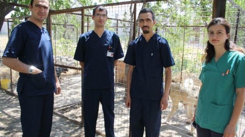 Artık Onların Da Bir Tıp Merkezi Var