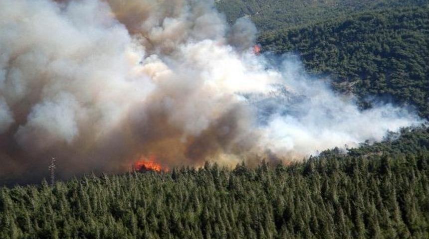 Hatay'da 50 Hektarlık Kızıl&ccedil;am Ormanı Yandı