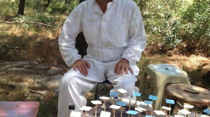 Uludağ &Uuml;niversitesi Ile ABD Bilim Vakfı, Arı &Ouml;l&uuml;mlerini Araştırıyor