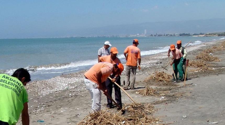 Deniz Kaplumbağalarının Yumurta Bıraktığı Kazanlı Sahili Temizlendi