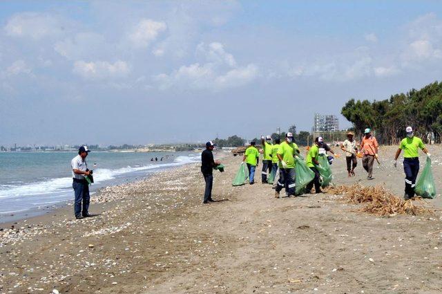 Deniz Kaplumbağalarının Yumurta Bıraktığı Kazanlı Sahili Temizlendi