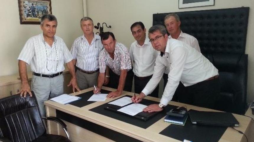 Hamitabat Kooperatifi&rsquo;ne 240 Baş Damızlık Gebe D&uuml;ve