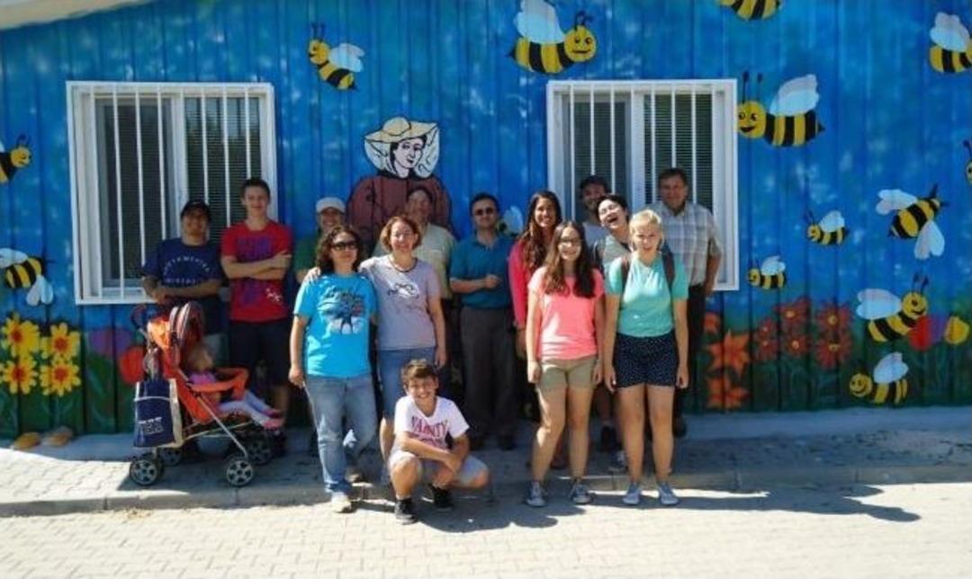 Tarım İla&ccedil;ları Arıların Hayatını Mahvediyor