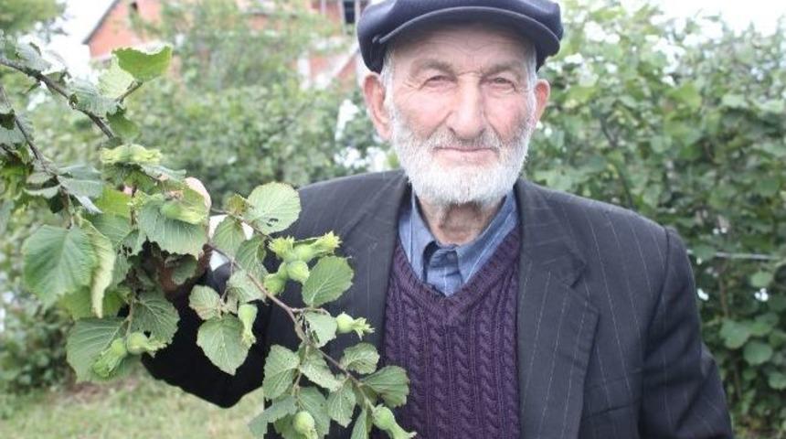 Fındık &Uuml;reticilerine Uyarı