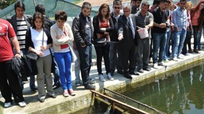'Su Ürünleri Ve Balıkçılık Teknolojisi Mühendisliğine Itibar Kazandırmalıyız'