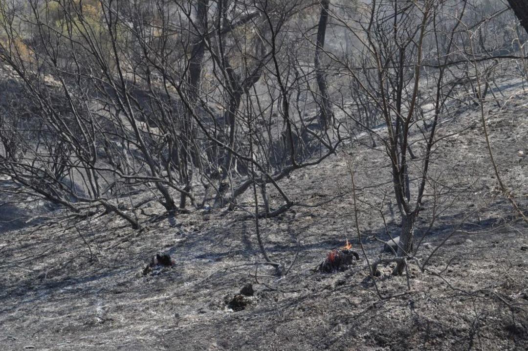 Bin Hektarlık Alanda Etkili Olan Yangın Kısmen Kontrol Altına Alındı
