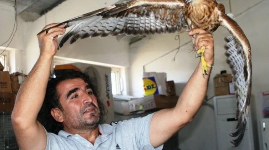 Yaban Hayvanlar Doğaya Bırakıldı