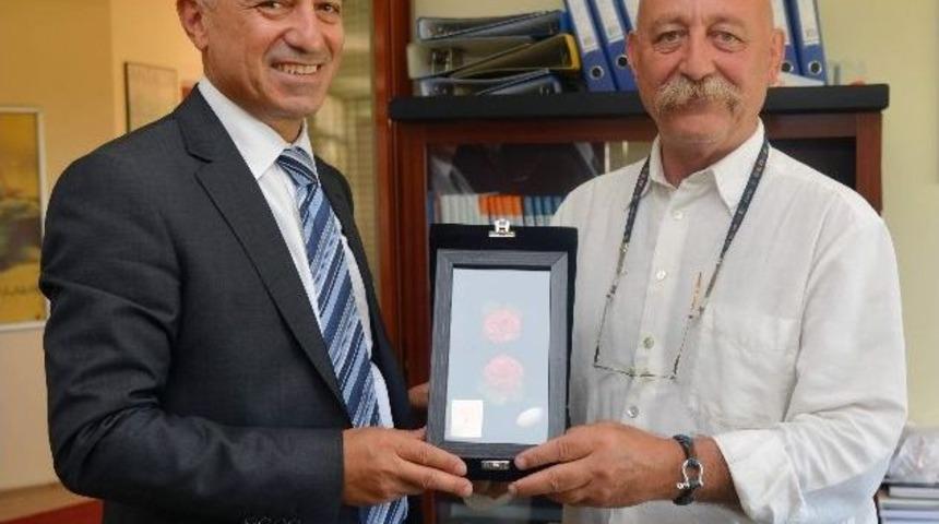 Expo 2016 Antalya, Sanatla Tanıtılacak