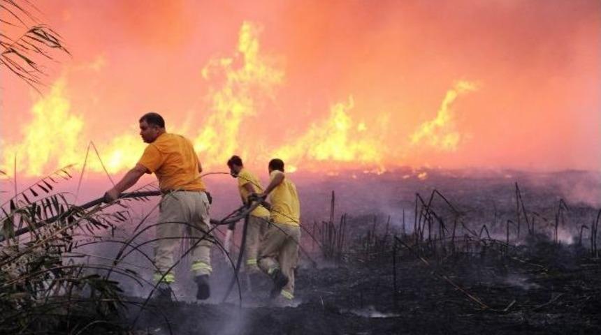 Edremit Orman M&uuml;d&uuml;r&uuml; Yangınlara Karşı Uyardı