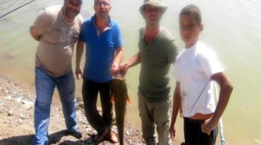 Oltayla 14 Kiloluk Yayın Balığı Yakaladı