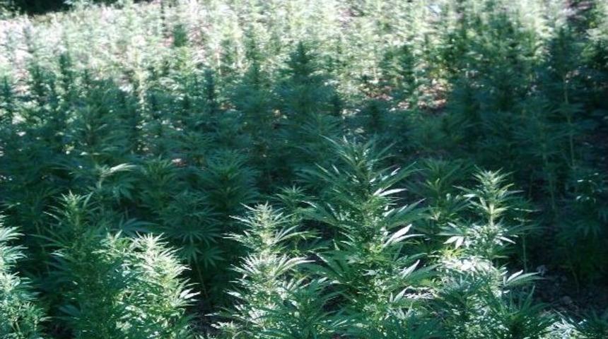 Diyarbakır&rsquo;da 9 Milyon Liralık Uyuşturucu Ele Ge&ccedil;irildi