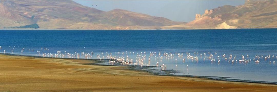 Orman Ve Su İşleri Bakanlığı: Van Er&ccedil;ek G&ouml;l&uuml;'nde Avlanmak Yasak