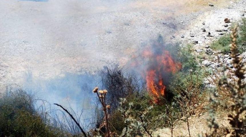 Salihli&rsquo;deki 9 D&ouml;n&uuml;m Orman Alanı Zarar G&ouml;rd&uuml;