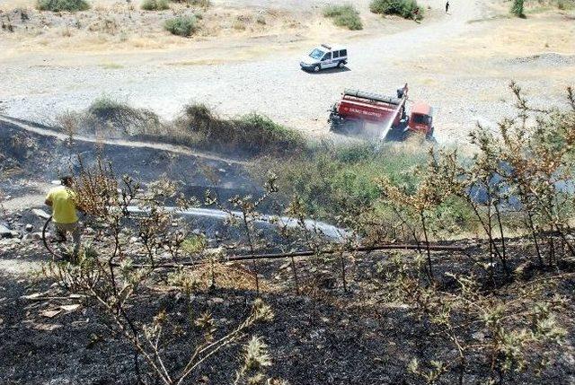 Salihli’deki 9 Dönüm Orman Alanı Zarar Gördü