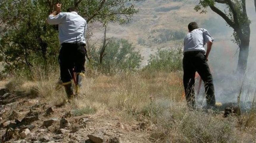 Arazi Yangınları İle Ekolojik Denge Yok Oluyor