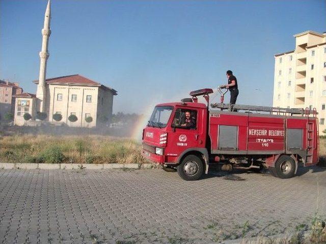 Arazi Yangınları İle Ekolojik Denge Yok Oluyor