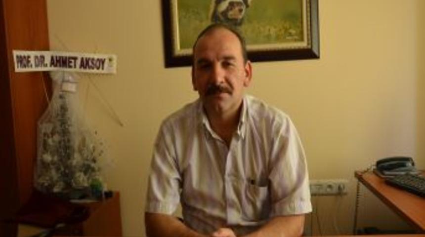 Akkaya Kuş Cenneti'nde Kuş T&uuml;r&uuml; Sayısında Artış G&ouml;zlendi