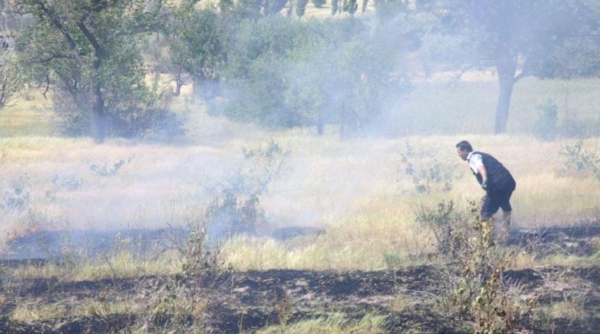 Arazi Yangınları Ile Ekolojik Denge Yok Oluyor