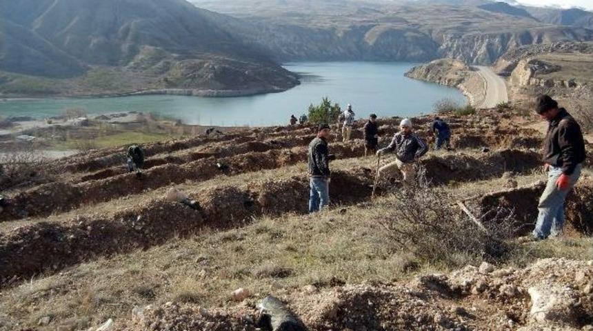 Kelkit Vadisinde Erozyonla M&uuml;cadele Devam Ediyor