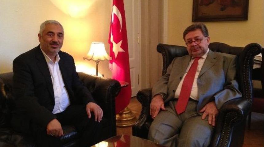 T&uuml;rk Kızılayı Mısır&rsquo;a Yardım İ&ccedil;in Kolları Sıvadı