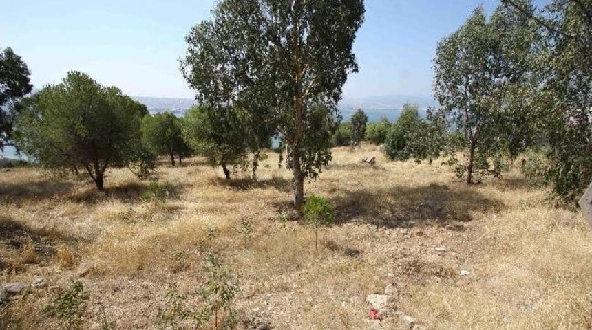 Bayraklı Belediyesi İl&ccedil;eyi Parklarla Donatıyor