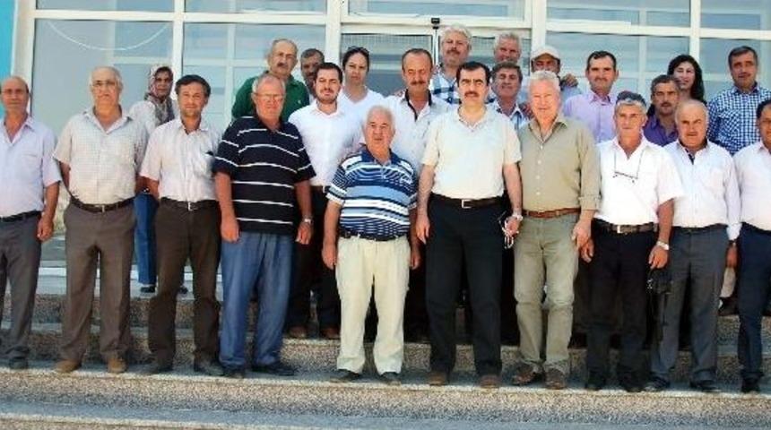 Erdem, &ldquo;incir İhracat Konusunda &Ouml;n&uuml; A&ccedil;ık Bir &Uuml;r&uuml;n&rdquo;