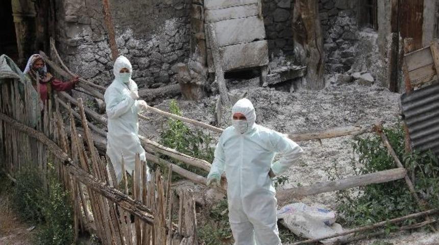 K&ouml;ydeki Pire Kabusu Bitti