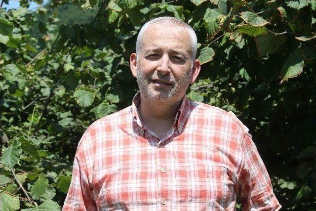 Fındık Üreticisinin Beklentisi 8 Tl 2