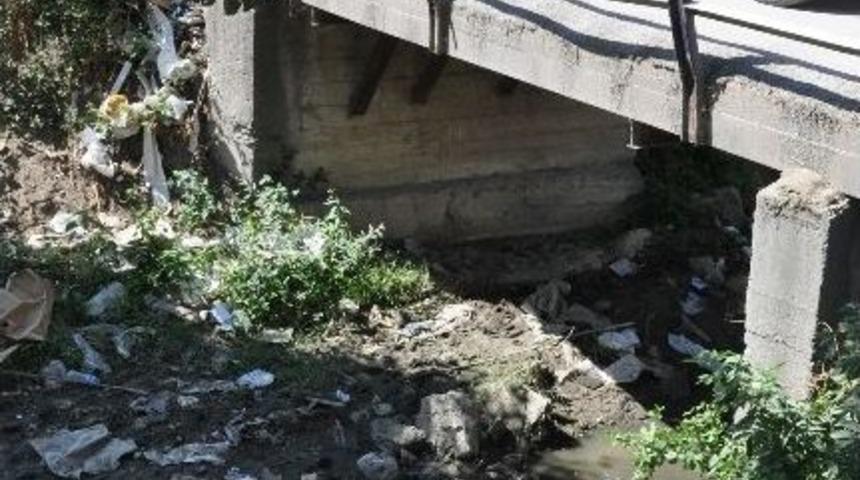 &Ccedil;evrecinin 'balıklar &Ouml;lmesin' M&uuml;cadelesi