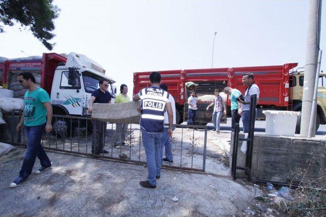 Saman Yüklü Kamyona, Kaçak Sigara Operasyonu