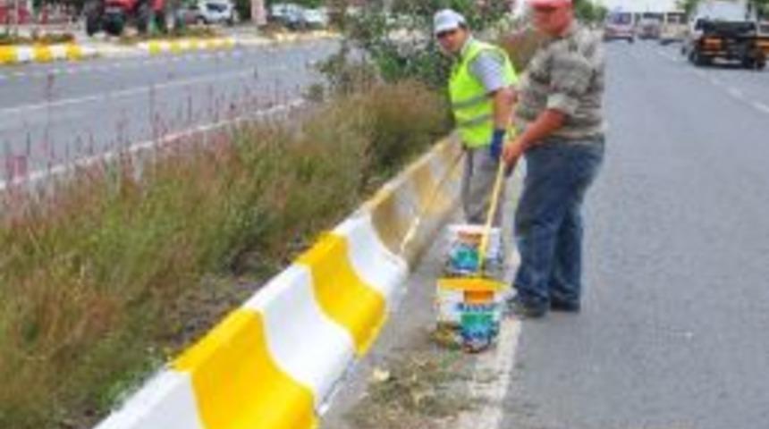 L&uuml;leburgaz'da Ref&uuml;jler Boyanıyor