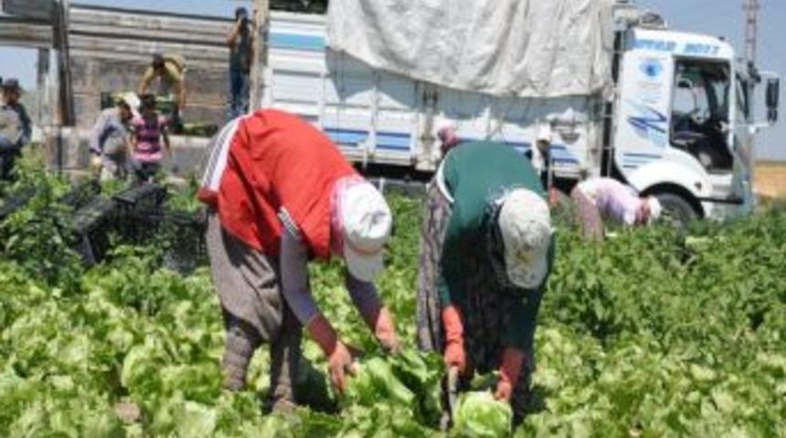 T&uuml;rkiye'nin Aysbergi Ankara'da &Uuml;retiliyor