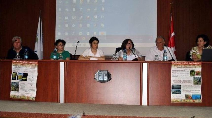 Işılak, &ldquo;d&uuml;nya Kuru İncir &Uuml;retiminin D&ouml;rtte Birini T&uuml;rkiye Karşılıyor&rdquo;