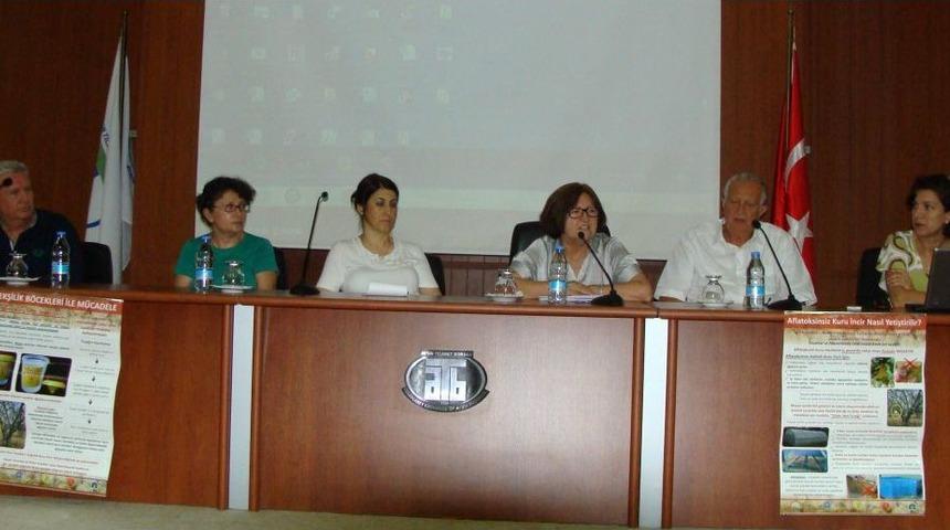 İncirde Aflatoksin Alarmı